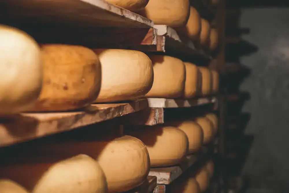 Shelves lined with fine cheeses and rustic provisions